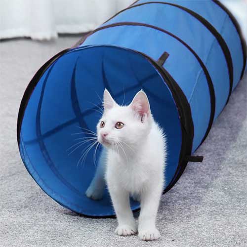 Tunel de jucarie pentru pisici